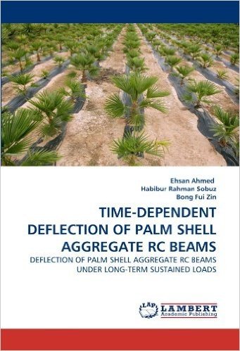 Time-Dependent Deflection of Palm Shell Aggregate Rc Beams