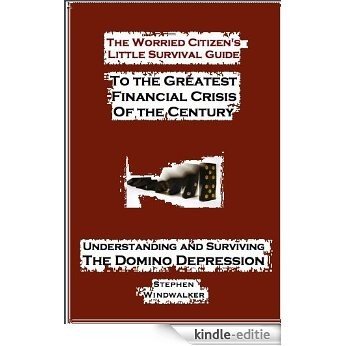 The Worried Citizen's Little Survival Guide to the Greatest Financial Crisis of the Century (Understanding and Surviving the Domino Depression) (English Edition) [Kindle-editie]
