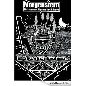 Morgenstern Ein Leben am Abgrund in 4 Bänden Band 3 (German Edition) [Kindle-editie]