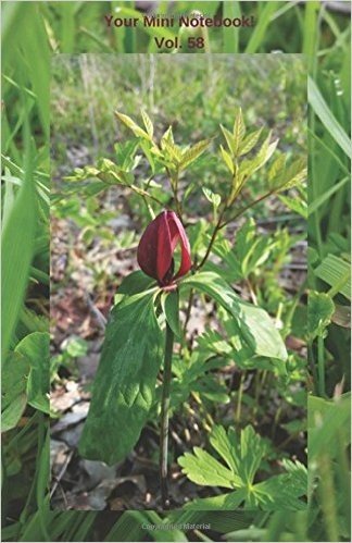Your Mini Notebook! Vol. 58: A Rosy Red Trillium Says Hello