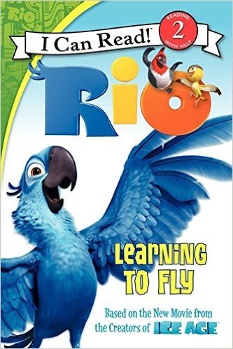 Rio: Learning to Fly