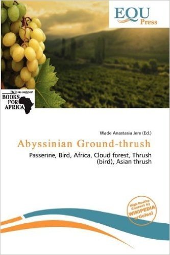 Abyssinian Ground-Thrush