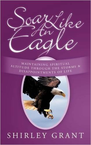 Soar Like an Eagle: Maintaining Spiritual Altitude Through the Storms and Disappointments of Life