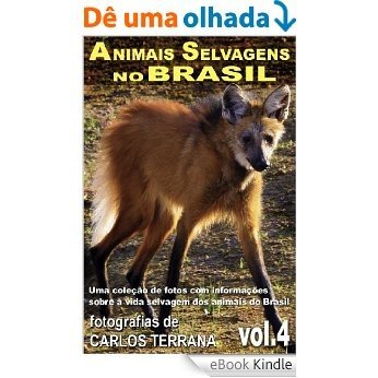 ANIMAIS SELVAGENS NO BRASIL - uma coleção de fotografias com informações sobre a vida e costumes dos animais do Brasil - VOL.4 [eBook Kindle]