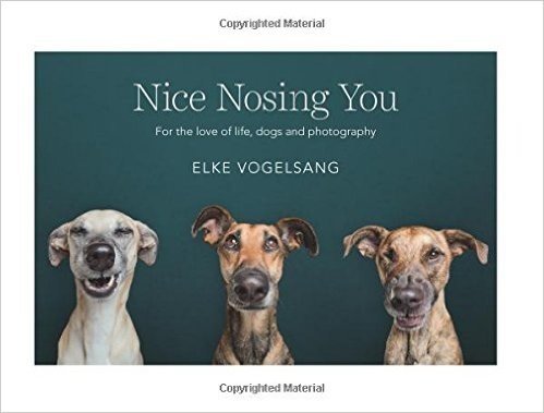 Nice Nosing You: For the Love of Life, Dogs and Photography