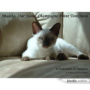 Maleka, Our Sweet Champagne Point Tonkinese (English Edition) [Kindle-editie]