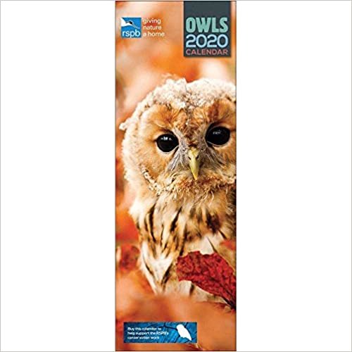 RSPB Owls Slim Calenar 2020