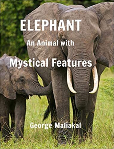 indir Elephant - An Animal with Mystical Features