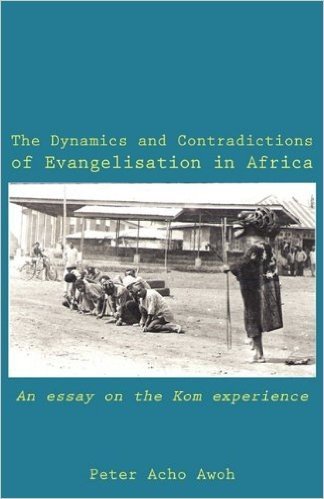 The Dynamics and Contradictions of Evangelisation in Africa. an Essay on the Kom Experience