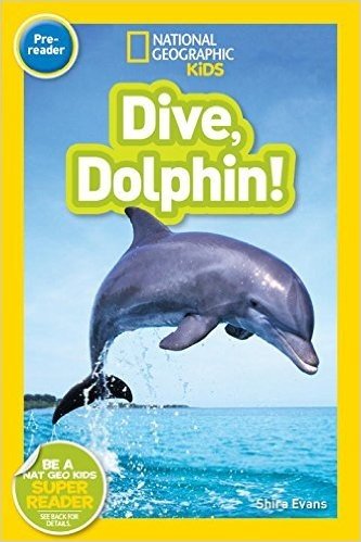 Dive, Dolphin