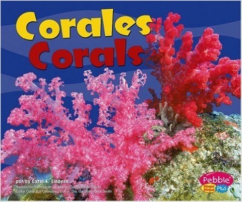 Corales/Corals