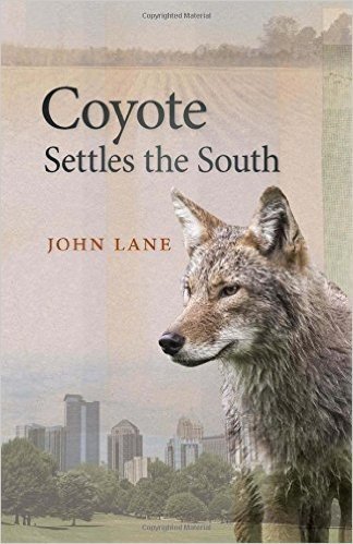 Coyote Settles the South