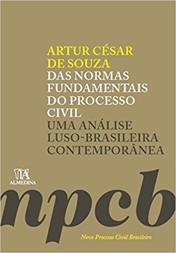 Das Normas Fundamentais do Processo Civil. Uma Análise Luso-Brasileira Contemporânea
