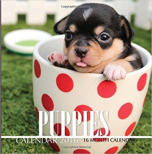 Puppies Calendar 2016: 16 Month Calendar