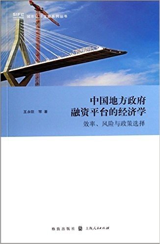 中国地方政府融资平台的经济学:效率、风险与政策选择