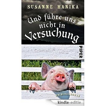 Und führe uns nicht in Versuchung: Kriminalroman (Lisa-Wild-Krimis 3) (German Edition) [Kindle-editie]