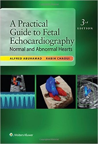 A Practical Guide to Fetal Echocardiography: Normal and Abnormal Hearts baixar