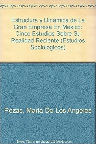 Estructura y Dinamica de La Gran Empresa En Mexico: Cinco Estudios Sobre Su Realidad Reciente