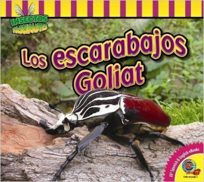 Los Escarabajos Goliat