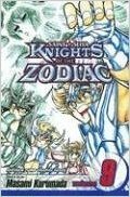 Knights of the Zodiac (Saint Seiya): Volume 9