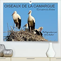 indir Oiseaux de la Camargue: l&#39;Estuaire du Rhône (Calendrier supérieur 2022 DIN A2 horizontal)