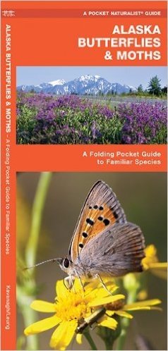 Alaska Butterflies & Moths: An Introduction to Familiar Species