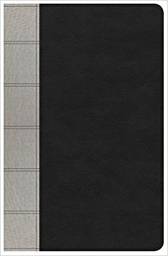 KJV Large Print Personal Size Reference Bible, Black/Gray Deluxe Leathertouch