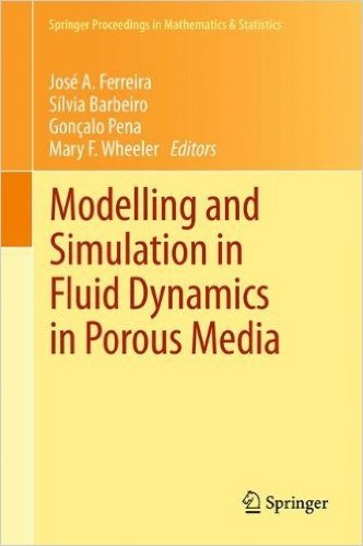Modelling and Simulation in Fluid Dynamics in Porous Media baixar