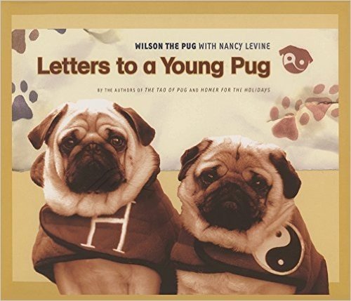 Letters to a Young Pug