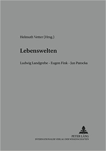 Lebenswelten: Ludwig Landgrebe - Eugen Fink - Jan Patočka. Wiener Tagungen Zur Phaenomenologie 2002