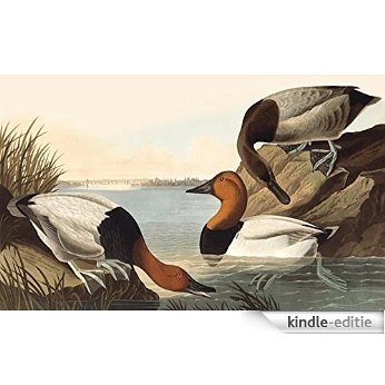 Counted Cross Stitch Patterns: John James Audubon, Canvas Back Ducks (English Edition) [Kindle-editie]