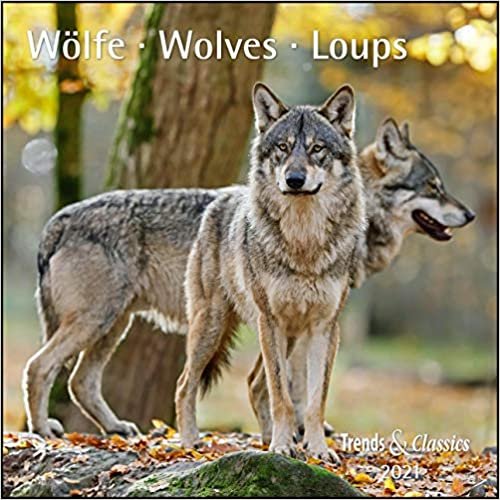 indir Wölfe Wolves 2021 - Broschürenkalender - Wandkalender - mit herausnehmbarem Poster