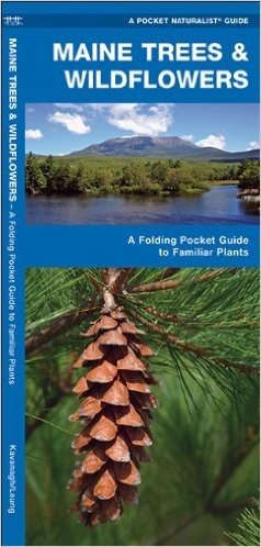Maine Trees & Wildflowers: An Introduction to Familiar Species