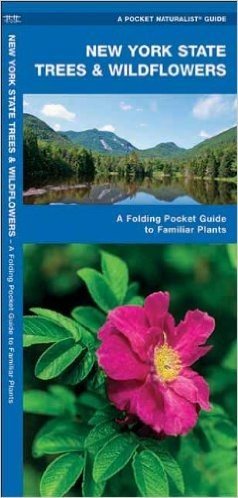 New York State Trees & Wildflowers: An Introduction to Familiar Species
