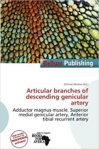 Articular Branches of Descending Genicular Artery