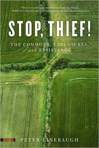 Stop, Thief!: The Commons, Enclosures, and Resistance baixar