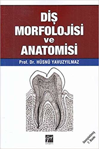 woelfel diş anatomisi pdf indir