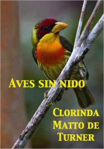Aves sin nido (Spanish Edition)