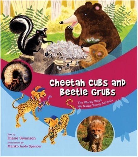 Cheetah Cubs and Beetle Grubs: The Wacky Ways We Name Young Animals