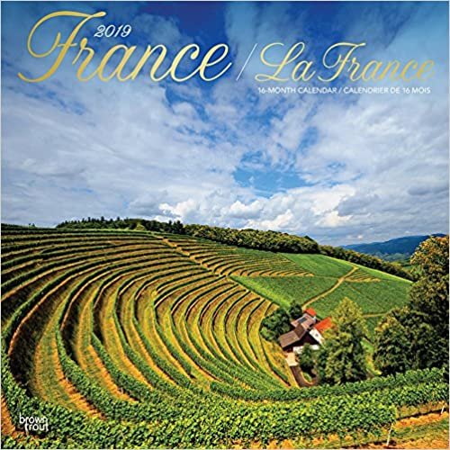 France - Frankreich 2019 - 18-Monatskalender mit freier TravelDays-App (Wall-Kalender)