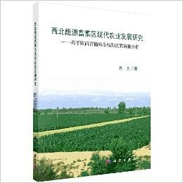 西北能源富集区现代农业发展研究:基于陕西省榆林市榆阳区的调查分析