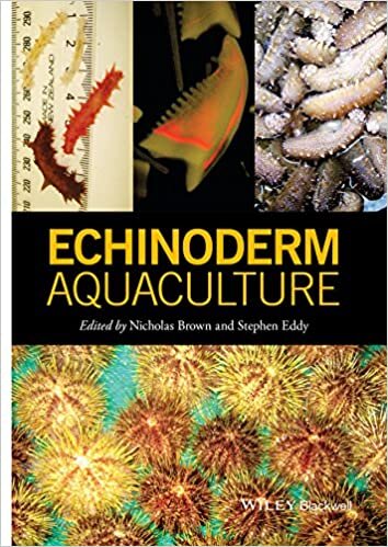 indir Brown, N: Echinoderm Aquaculture