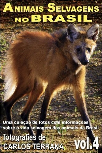ANIMAIS SELVAGENS NO BRASIL - uma coleção de fotografias com informações sobre a vida e costumes dos animais do Brasil - VOL.4