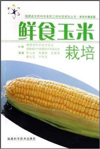 鲜食玉米栽培