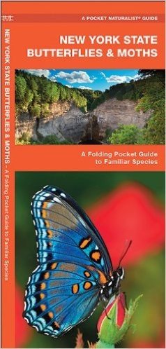 New York State Butterflies & Moths: An Introduction to Familiar Species