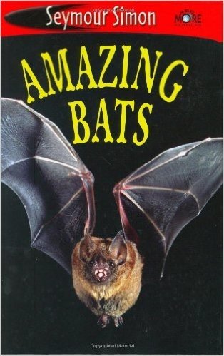 Amazing Bats: Level 1