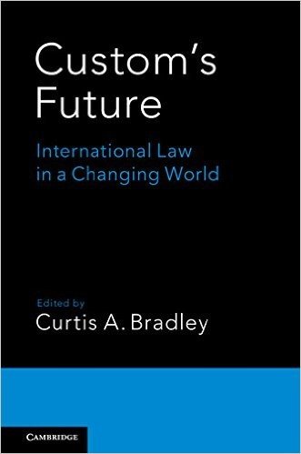 Custom's Future: International Law in a Changing World baixar