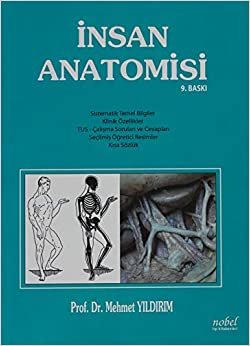 İnsan Anatomisi