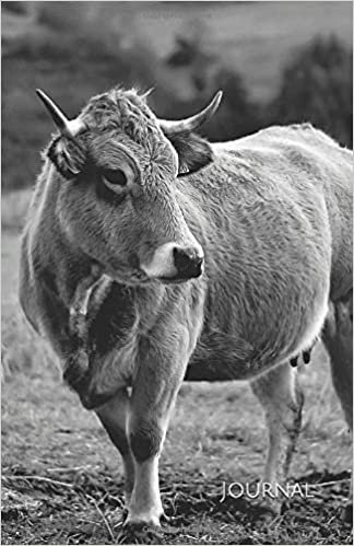 Journal: Cow Journal Beautiful Pasture with Cows Journal Notebook Lined Writing Diary Carnet de Notes Vaches