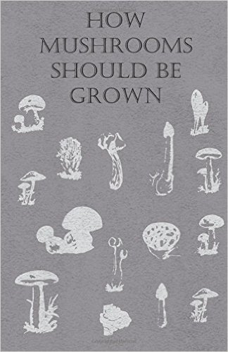How Mushrooms Should Be Grown